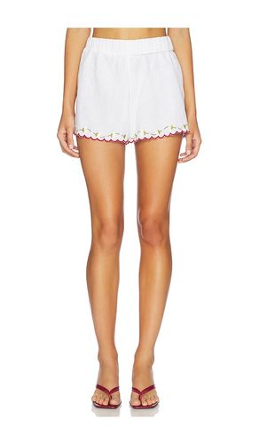 SHORTS JOSKA in . Größe S. Also in XXS, M, L, XL - Ciao Lucia - Modalova