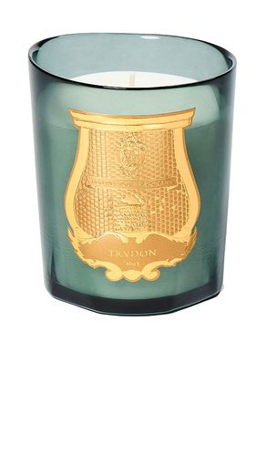 Figuerie Scented Candle 270g in Blue - Trudon - Modalova