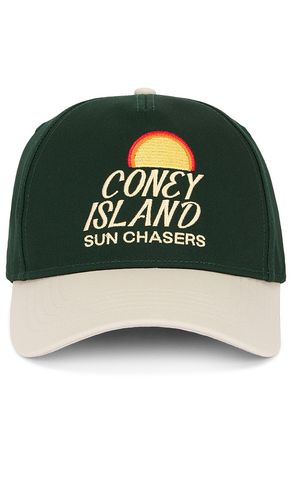 Sun Chasers Curved Snapback in Green - Coney Island Picnic - Modalova