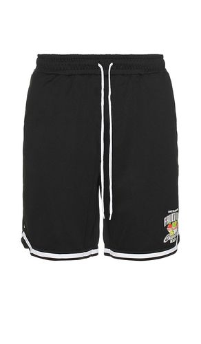 Fruit Bowl Shorts in . - size L (also in M, S, XL/1X) - Coney Island Picnic - Modalova