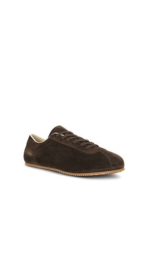 Suede Driving Shoe in Brown. - size 45 (also in 46) - Common Projects - Modalova