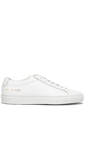 Original Achilles Low Sneaker in . - size 35 (also in 36, 37, 38, 39, 40, 41) - Common Projects - Modalova