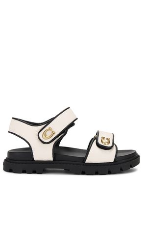 Brynn Sandal in . Size 6, 6.5, 7, 7.5, 8, 8.5, 9, 9.5 - Coach - Modalova