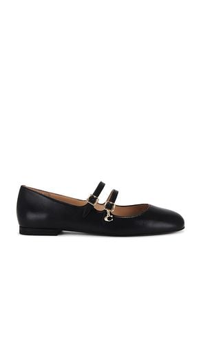 Zapato plano whitley en color talla 10 en - Black. Talla 10 (también en 5, 5.5, 6, 6.5, 8, 8.5, 9) - Coach - Modalova