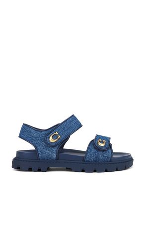 Brynn Flat Sandals in Blue. - size 10 (also in 5.5, 6.5, 7, 7.5, 8, 8.5, 9, 9.5) - Coach - Modalova
