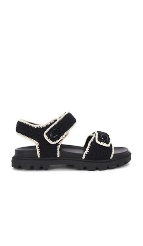 Brynn Sandal in . - size 10 (also in 6, 6.5, 7, 7.5, 8, 8.5, 9, 9.5) - Coach - Modalova