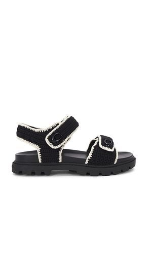 Brynn Sandal in . - size 6 (also in 6.5, 7, 7.5, 8, 8.5, 9, 9.5) - Coach - Modalova