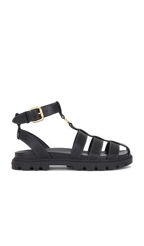 Sculpted Fisherman Sandal in . - size 8.5 (also in 9, 9.5) - Coach - Modalova