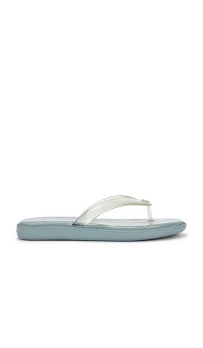 Jelly Flip Flop Sandal in Baby Blue. - size 6 (also in 7, 9) - Coach - Modalova