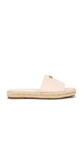 Holly Sandal in Pink. - size 6 (also in 7, 9.5) - Coach - Modalova