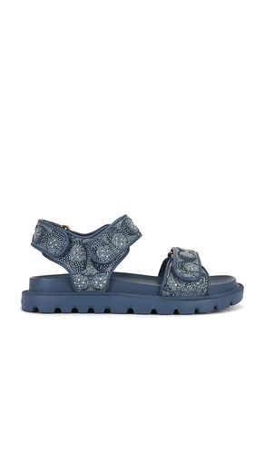 Brynn Sandal in Denim-Medium. - size 6 (also in 6.5, 7, 7.5, 8, 8.5, 9, 9.5) - Coach - Modalova