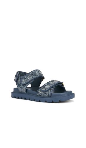 Brynn Sandal in Denim-Medium. - size 6 (also in 6.5, 7, 7.5, 8, 8.5, 9, 9.5) - Coach - Modalova