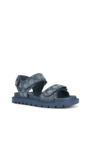 Brynn Sandal in Denim-Medium. - size 6 (also in 6.5, 7, 7.5, 8, 8.5, 9) - Coach - Modalova