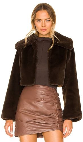 Cleobella Cropped Faux Fur Jacket in Chocolate. - size L (also in M, S, XL, XS, XXS) - Camila Coelho - Modalova