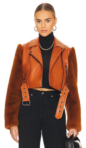 Florencia Moto Jacket in Brown. - size XS (also in XXS) - Camila Coelho - Modalova