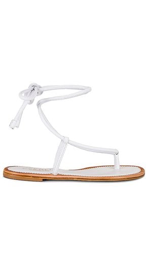 SANDALE FREYA in . Size 37 - CoRNETTI - Modalova