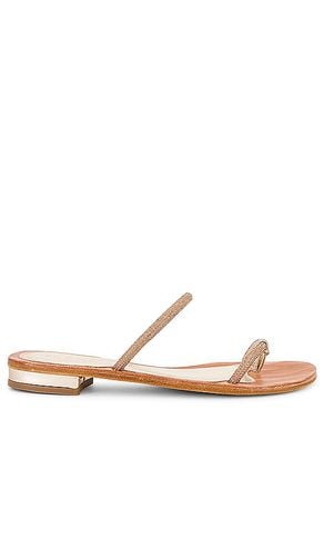 Claudia Sandal in . Size 36 - CoRNETTI - Modalova