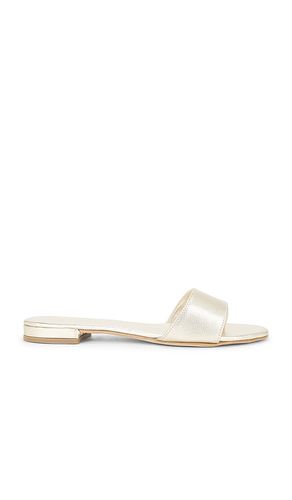 Cannucce Sandal in Metallic . - size 36 (also in 38, 39, 40) - CoRNETTI - Modalova