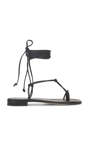 Otranto Sandal in . - size 36 (also in 38, 39) - CoRNETTI - Modalova