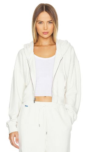 The Boston Crop Hoodie in . Taglia M, S, XS - COTTON CITIZEN - Modalova