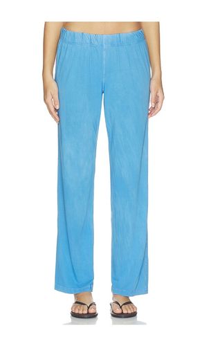 STANDARDHOSE in . Größe M. Also in S, XS - COTTON CITIZEN - Modalova