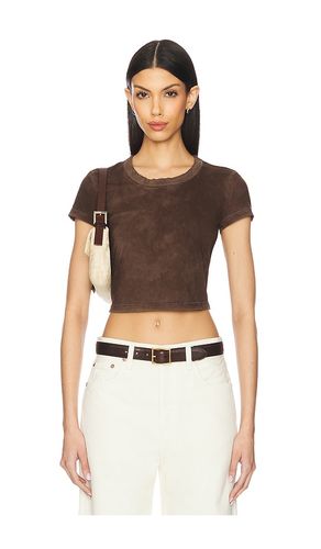The Standard Baby Tee in Chocolate. - size L (also in M, S, XS) - COTTON CITIZEN - Modalova