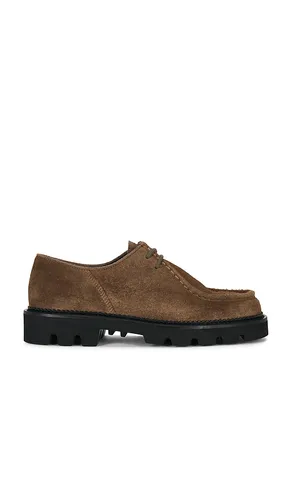 Pillar Moc-Toe Derby in Mocha in Mocha. - size 41 (also in 42, 44, 46) - Collegium - Modalova