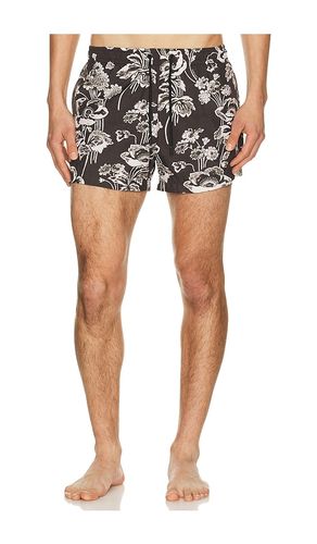 BADESHORTS in . Größe S. Also in M, XL/1X, XXL/2X - Commas - Modalova