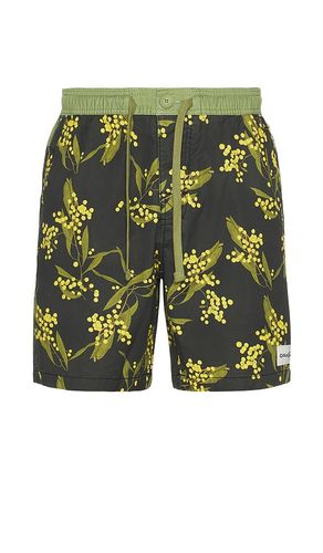Acarcia 17 Swim Trunk in ,Green. - size 30 (also in 32, 34) - Critical Slide - Modalova