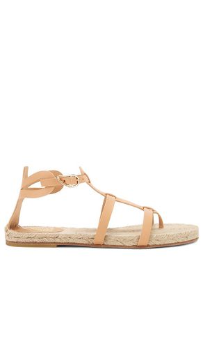 Delos Sandal in Neutral. - size 36 (also in 37, 39, 40, 41) - Castaner - Modalova