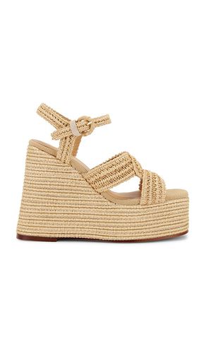 Fiodora Sandal in . Taglia 39, 40, 41 - Castaner - Modalova