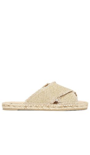 Palmera Sandal in . Size 36, 40 - Castaner - Modalova