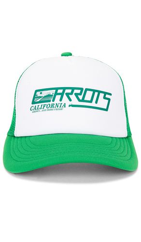 California Grown Hat in Green - Carrots - Modalova