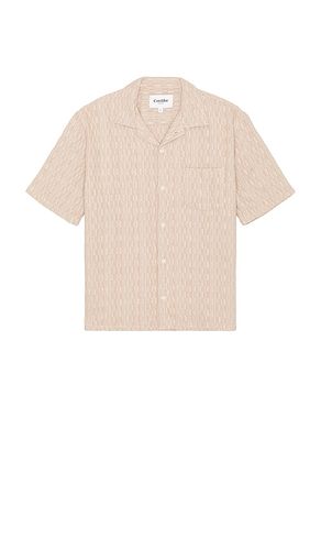 Rainbow Weave Short Sleeve Shirt in . - size L (also in M, S, XL/1X) - Corridor - Modalova