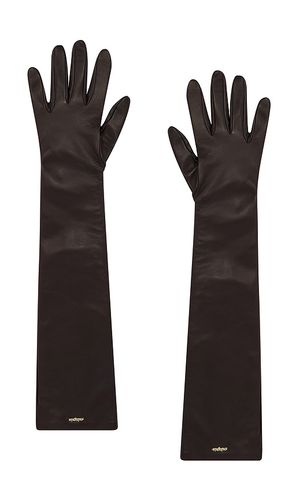 Cult Gaia Zya Gloves in Chocolate - Cult Gaia - Modalova