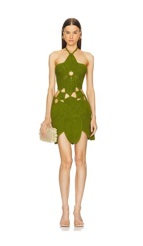 Floreana Mini Dress in . Size M - Cult Gaia - Modalova