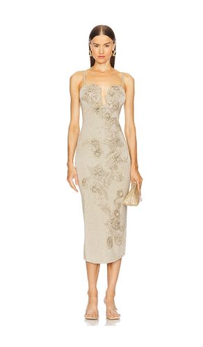 Soraiya Knit Dress in . Size S, XS - Cult Gaia - Modalova