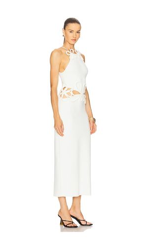 STRICKKLEID JENA in . Größe M. Also in S, XS - Cult Gaia - Modalova