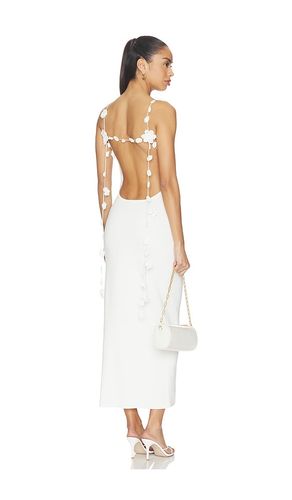 KLEID GIULIANA in . Größe S. Also in M - Cult Gaia - Modalova