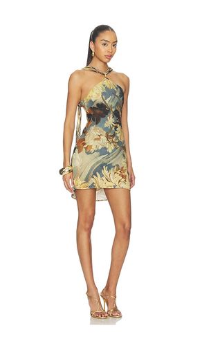 KLEID ALEX in ,. Größe 0. Also in 2 - Cult Gaia - Modalova