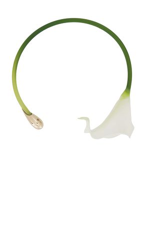 Cult Gaia Calla Choker in Ivory - Cult Gaia - Modalova