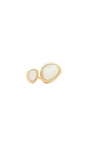 Cult Gaia RING CLEO in Ivory - Cult Gaia - Modalova