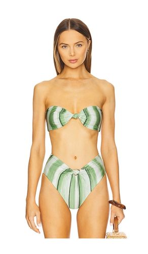 Oswin Bikini Top in Green. - size S (also in XXS) - Cult Gaia - Modalova