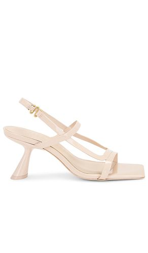 Reina Sandal in Beige. - size 36.5 (also in 37, 37.5, 38, 39) - Cult Gaia - Modalova