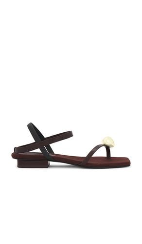 Illene Sandal in Brown. - size 38 (also in 38.5, 39, 40) - Cult Gaia - Modalova