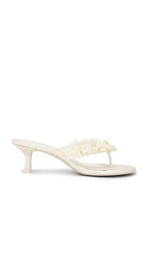 Avery Sandal in . - size 36 (also in 37, 38, 39, 40) - Cult Gaia - Modalova