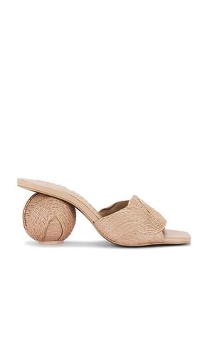 Noor Sandal in Tan. - size 36 (also in 37, 38, 39, 40) - Cult Gaia - Modalova