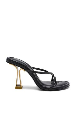 Soriah Sandal in . - size 37 (also in 38, 39, 40) - Cult Gaia - Modalova