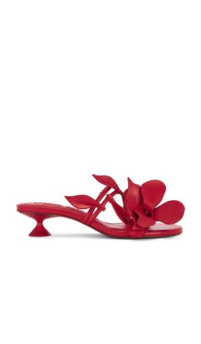 Colette Sandal in Red. - size 36 (also in 38) - Cult Gaia - Modalova
