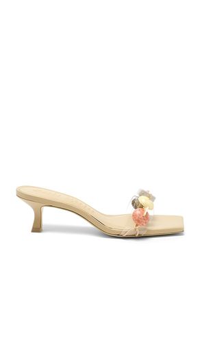 Laguna Sandal in Neutral. - size 36 (also in 38, 39) - Cult Gaia - Modalova